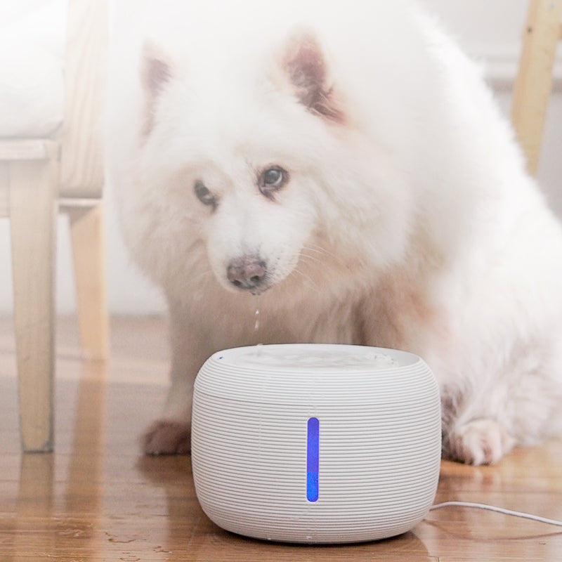 Automatic Pet Water Fountain: Clean, Fresh Water for Cats and Dogs