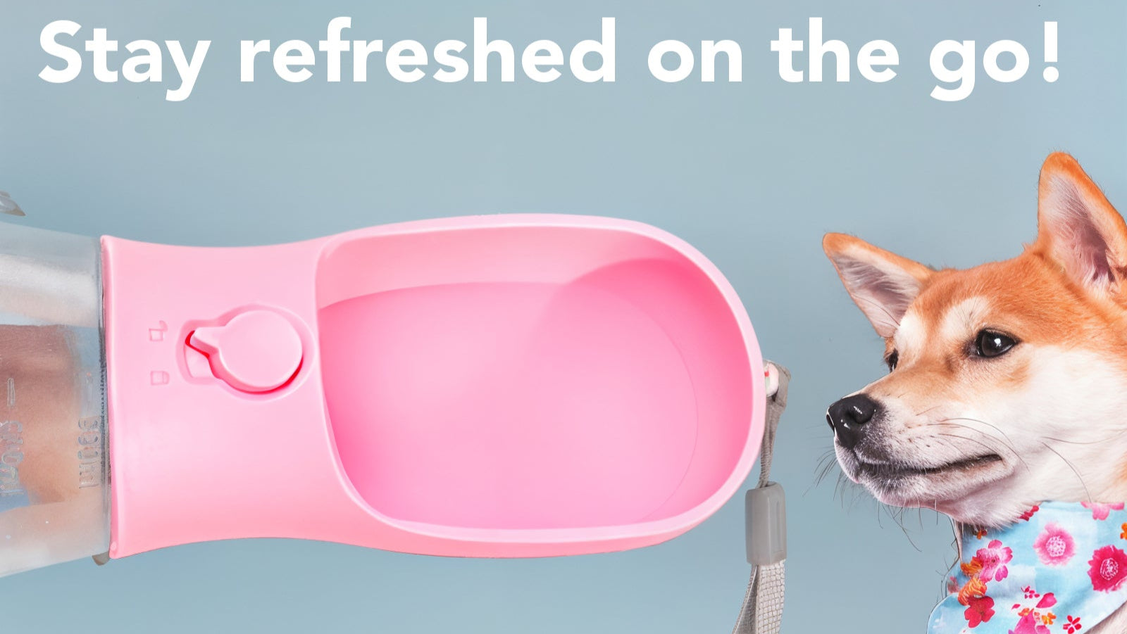 3-in-1 Pet Travel Bottle: Treats, Water, and Poop Bags