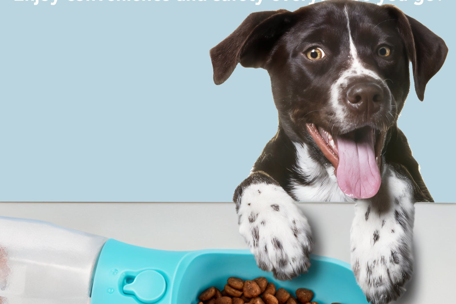 3-in-1 Pet Travel Bottle: Treats, Water, and Poop Bags